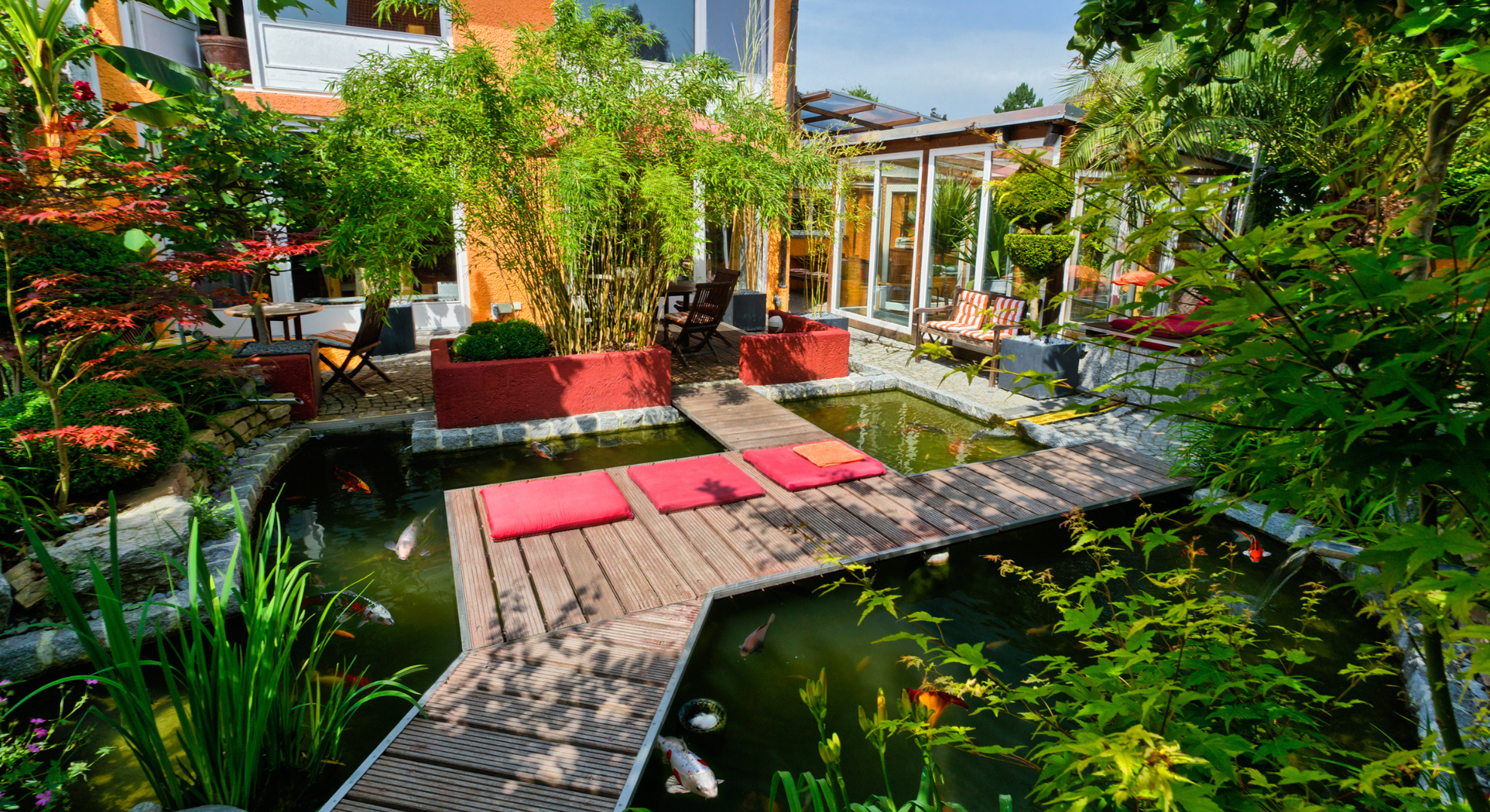 Hierauf sollten Sie achten_ Wichtige Zertifikate von deutschen Koi Händlern