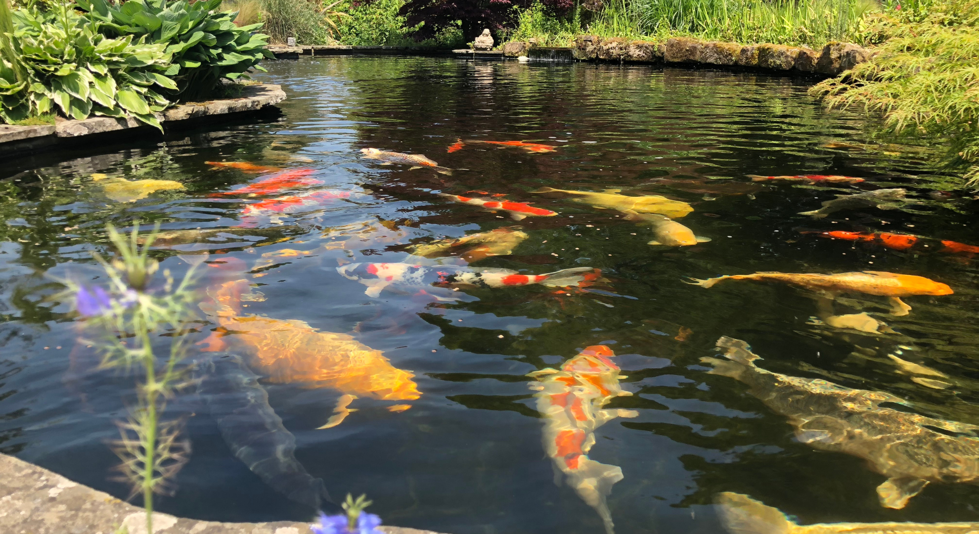 Im Überblick_ Auf diese Merkmale bei der Filteranlage und Wassertechnik sollten sie achten