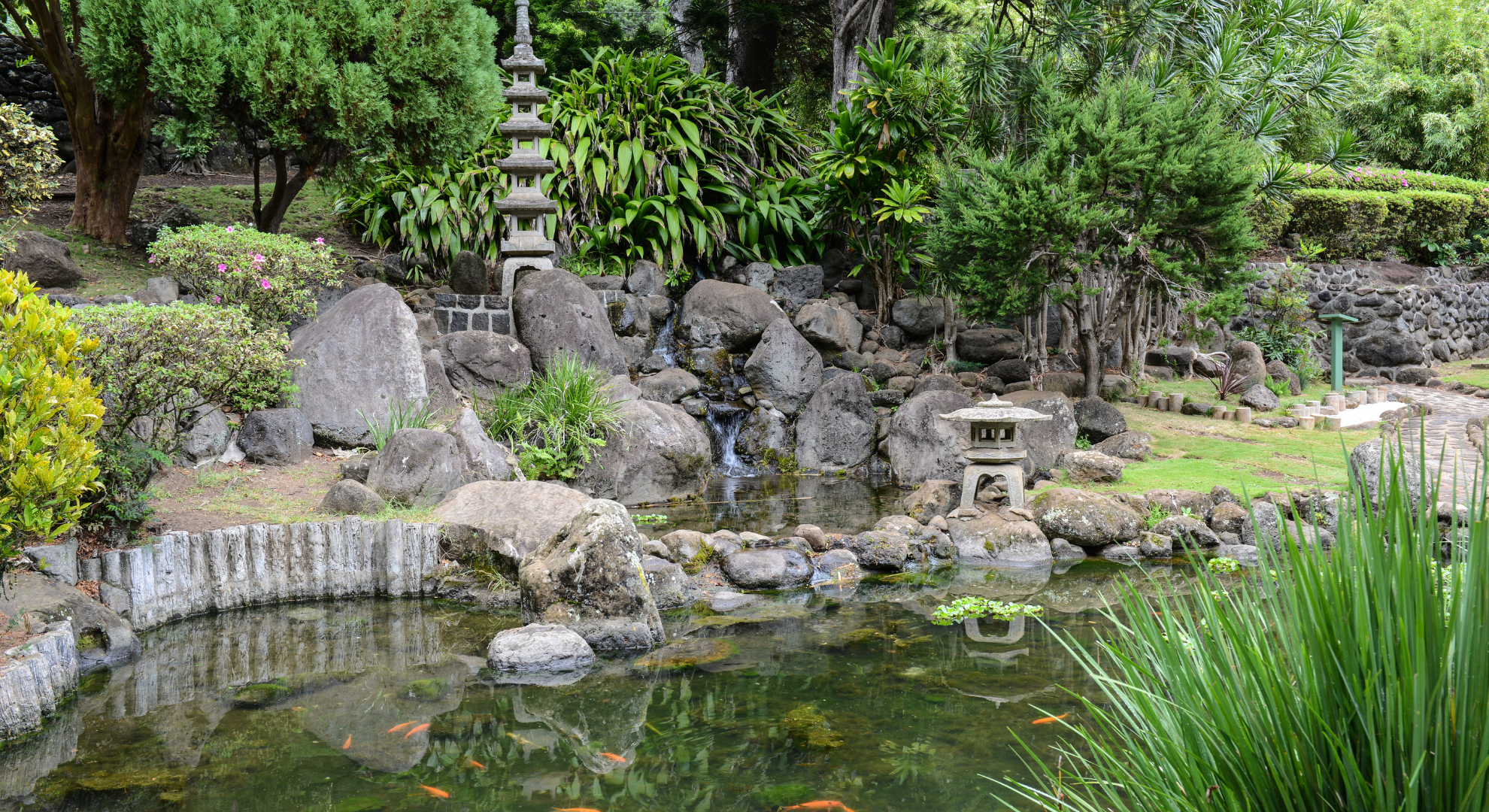 Koi-Teich_ Planung, Bau & Pflege für ein gesundes Zuhause Ihrer Koi Koi-Teich_ Planung, Bau & Pflege für ein gesundes Zuhause Ihrer Koi